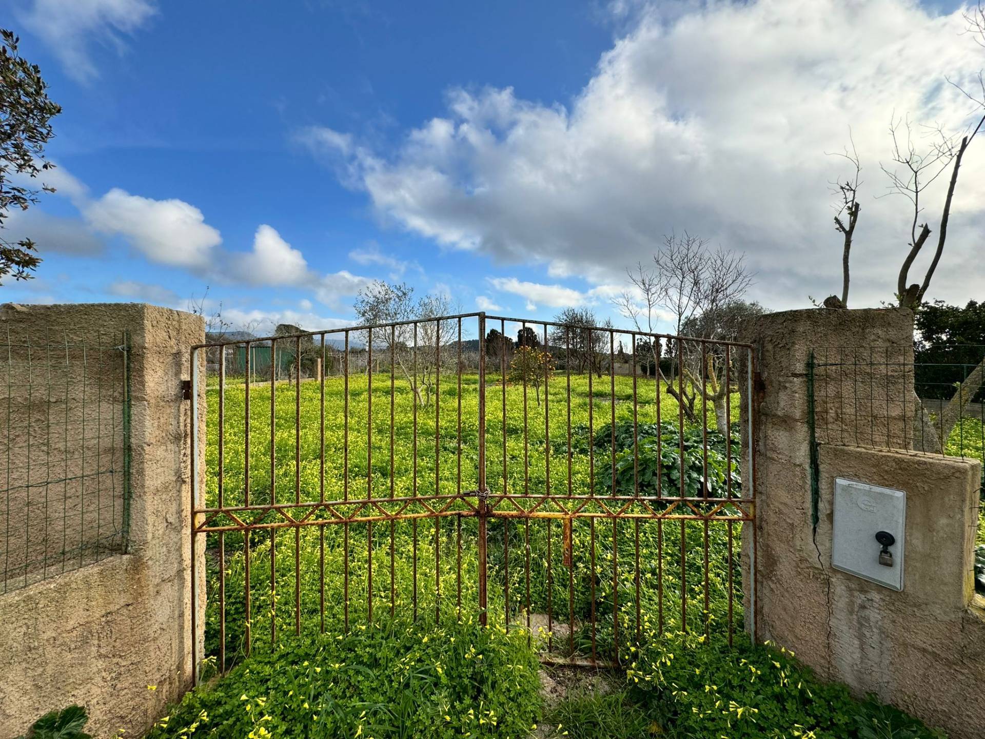 Terreno Agricolo a Alghero