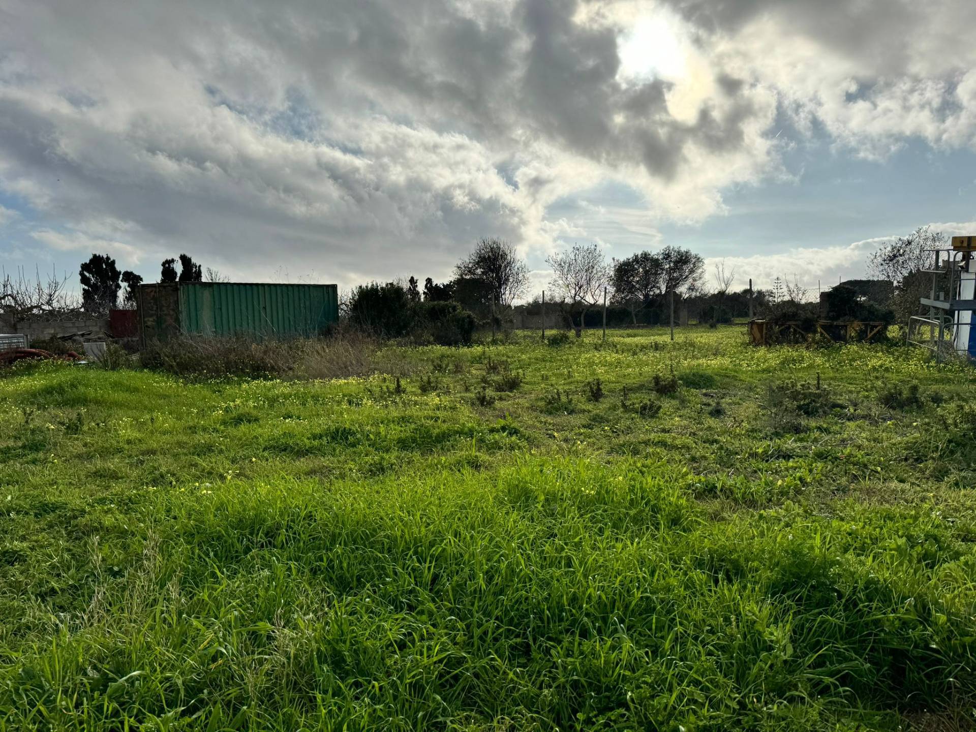 Terreno Agricolo a Alghero