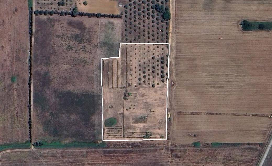 Terreno Agricolo a Alghero