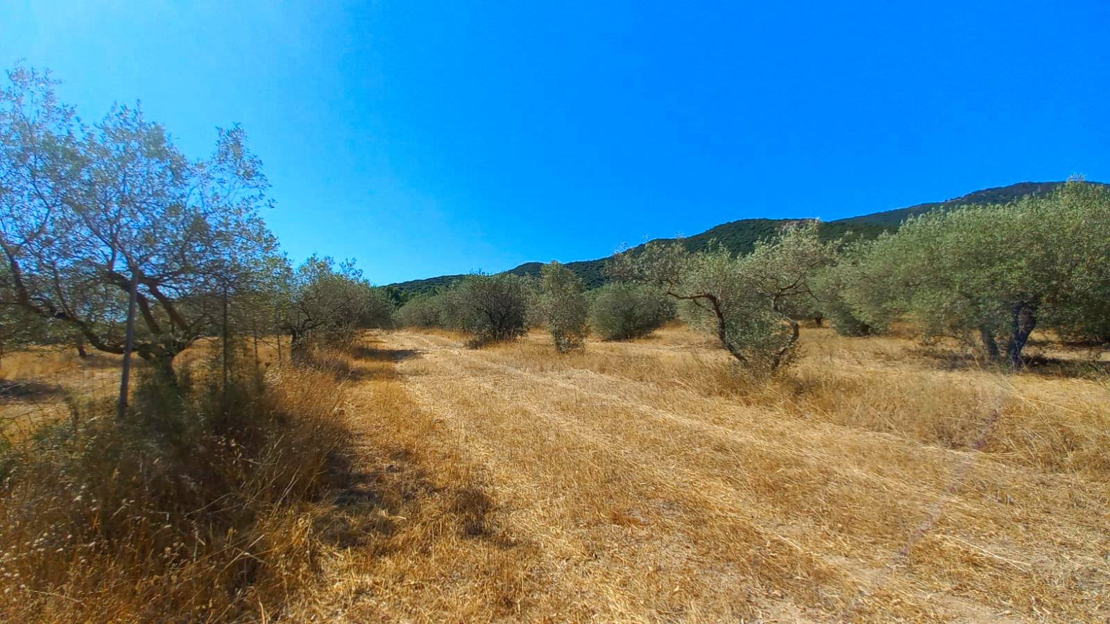 Terreno Agricolo a Castiadas
