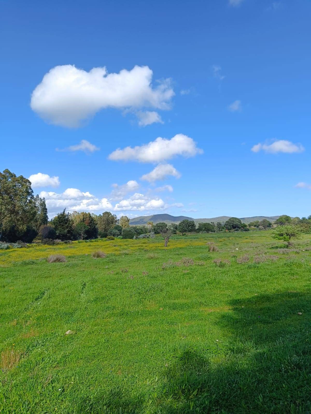 Terreno Agricolo a Villasimius