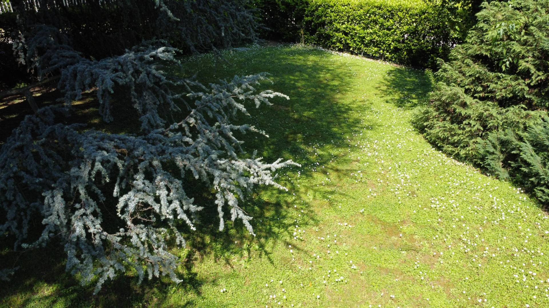 Terreno edificabile a Presezzo