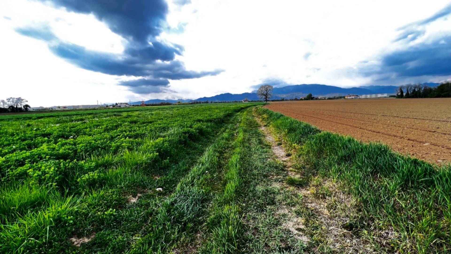 ITAL HOME Immobiliare propone un terreno agricolo pianeggiante di circa **1.500 mq**
