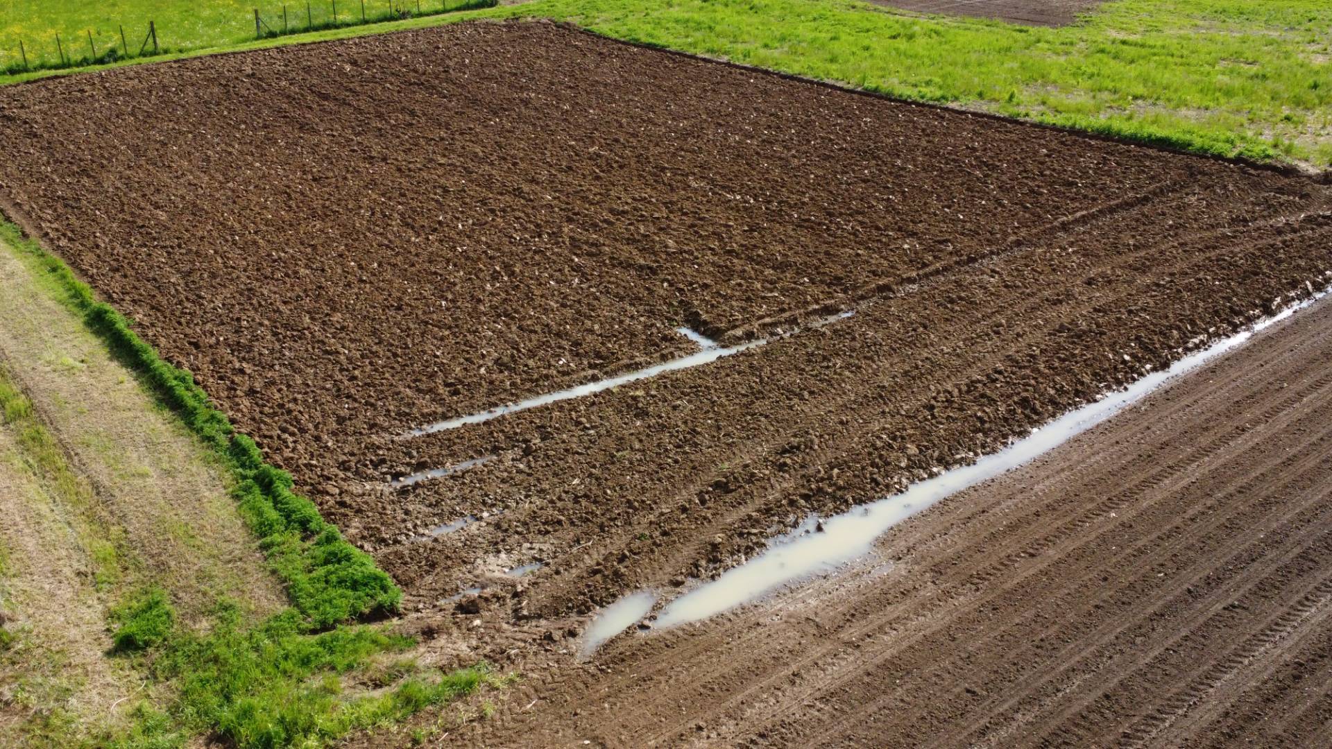 Solza - 2.000mq di terreno agricolo