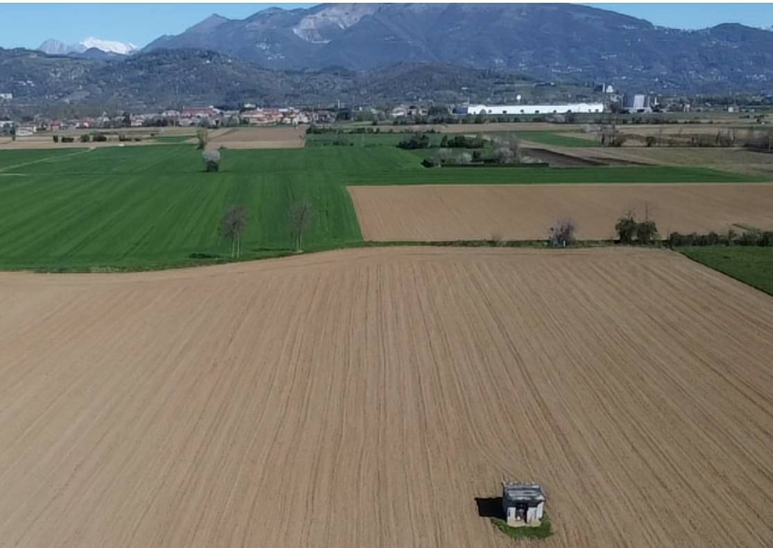 terreno agricolo di circa 5.000 mq