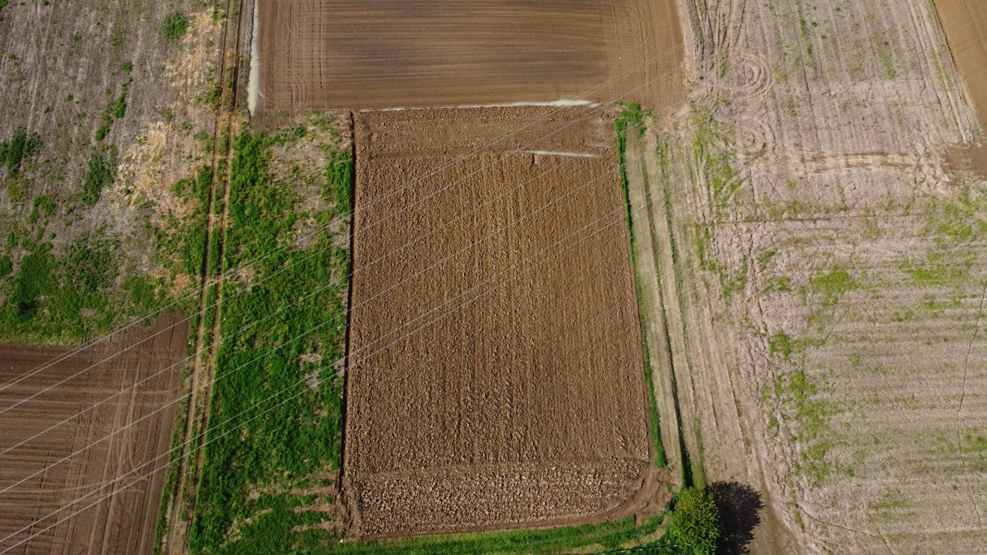 terreno agricolo di circa 2.000 mq